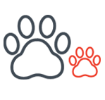 Mascotas